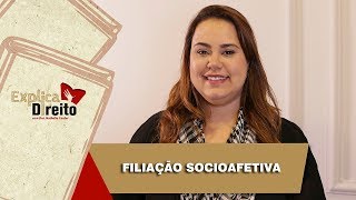 Explica Direito Filiação Socioafetiva  2019 [upl. by Greysun]