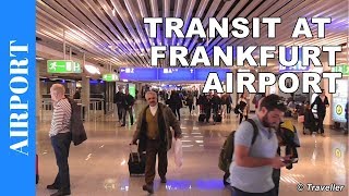 TRANSIT WALK AT FRANKFURT Airport FRA Terminal 1  Connection Flight Transfer Arriving amp Departing [upl. by Elizabeth]